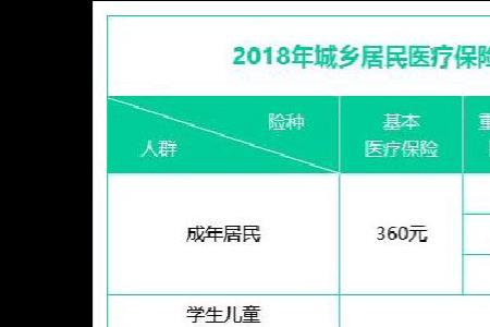 农村医保补充险80元什么意思