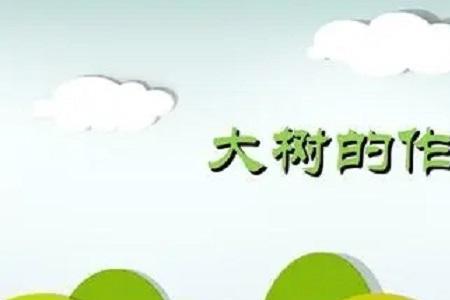 树干的作用到底是什么