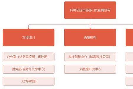 组织体系建设情况指哪些