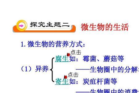 分解者都是异养生物吗为什么