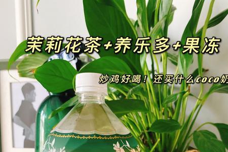 蒙古奶茶可以用茉莉花茶吗