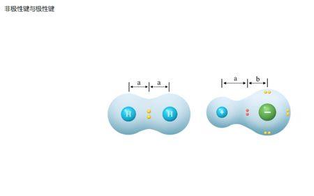 氢气是极性分子还是非极性分子