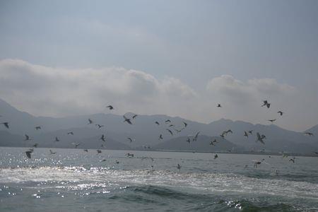 天高海阔任鸟飞的意思