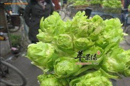 牛心菜和大头菜是一个嘛