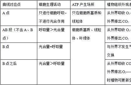 co2释放量是净光合还是总光合