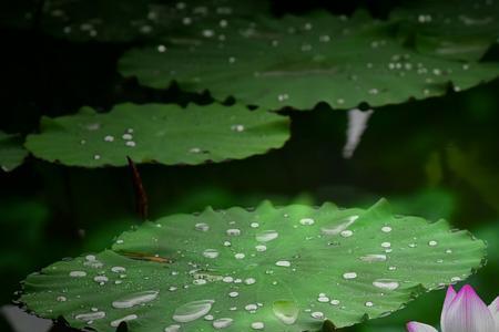 细雨如织什么意思