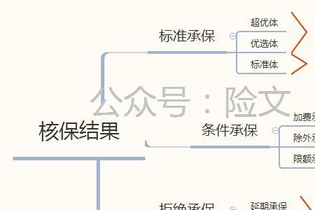 自动核保是什么意思