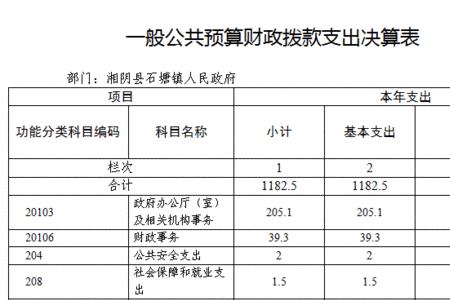 地方一般公共预算支出包括哪些