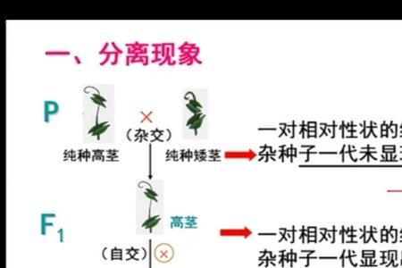 优良性状和遗传特性啥区别