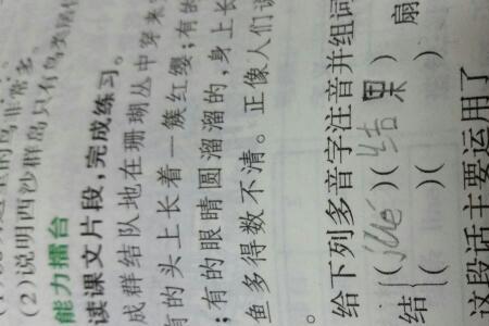 jie shi是什么字