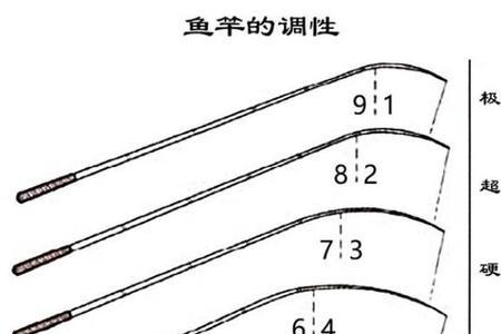 路亚竿x是什么调性