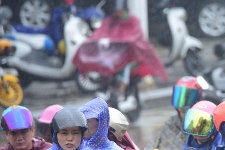 狂风骤雨的骤什么意思