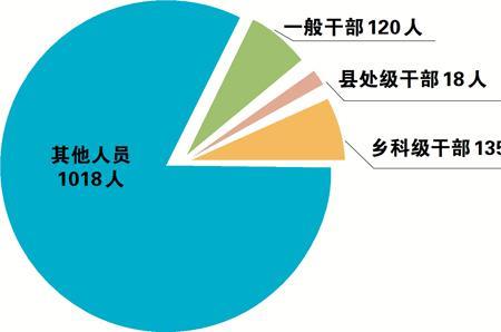 审查调查方式