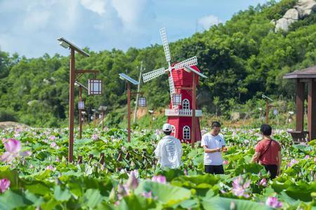 公交车站牌红蓝绿线路号的意思