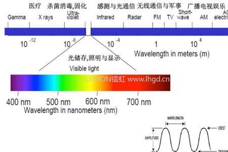 射线通过什么对生物产生影响