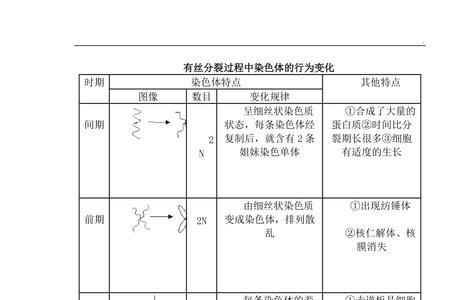 有丝分裂染色体组怎么看