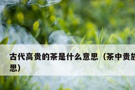 茗是什么意思