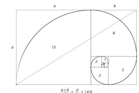 长方形黄金分割比例公式