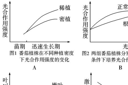 青鲜素是细胞分裂素的类似物吗