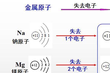 水中阴离子和阳离子有哪些