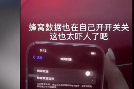 iphone蜂窝数据是什么