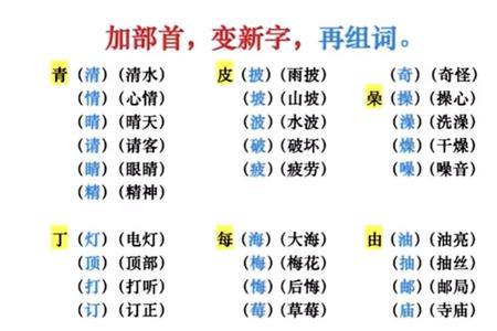 扌加一加变成新字组词