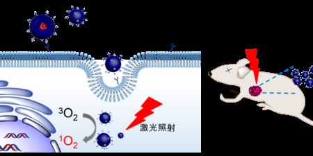 光动力光照强度有区别吗