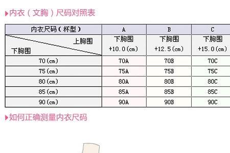 80l是多少胸围