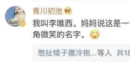 天棒娃儿什么意思