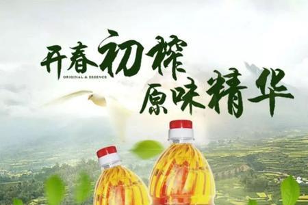 菜籽油可以点灯吗