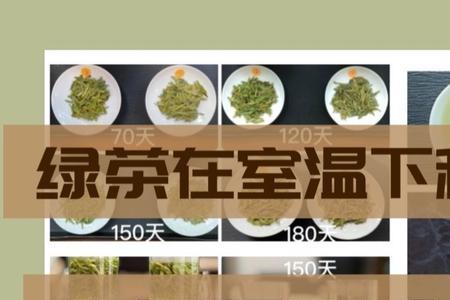 茶叶可以放冰箱冷冻吗