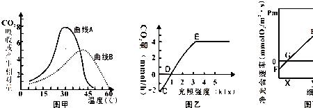 光呼吸与光反应的关系