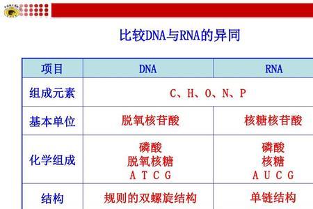 哪种rna种类最多