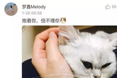 把猫咪包起来它会生气吗