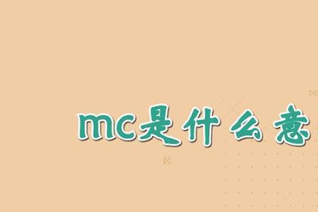 mc公司是什么意思