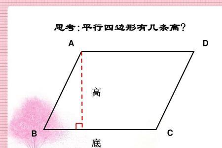 梯形的高有多少条