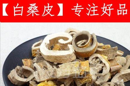 桑树皮剥了一圈还能活多久