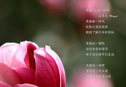 曾经的怀念是什么意思