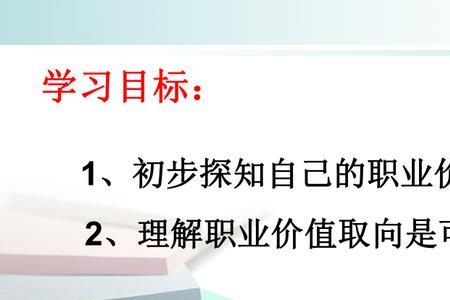 职业价值取向怎么写50字