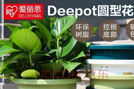 爱丽丝deepot花盆优缺点