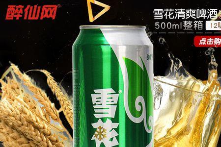 8度雪花清爽啤酒500喝多少会醉