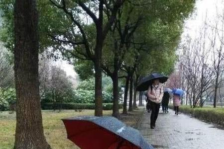 雨天有伞下一句是什么