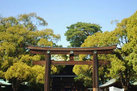 八重垣神社是什么