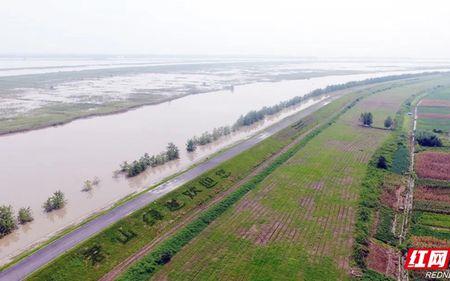 荆江大堤高出地面多少