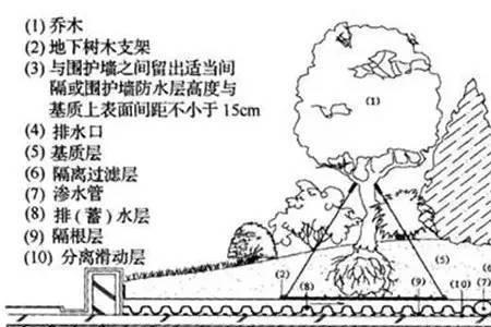 种植屋面坡度