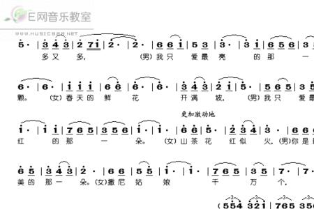 鲜花满天飞歌曲原唱