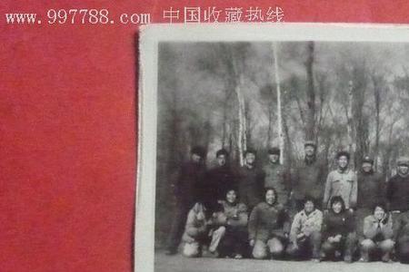 1976年天津知青下乡的地方在哪