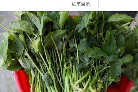 炒鸭脚板野菜要焯水吗