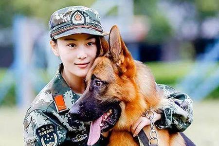 奇兵神犬何捷是哪一期出现的