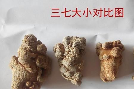 三七之数在古代的含义